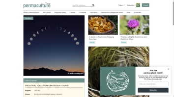 permaculture.co.uk screenshot 2026-01-18 04:36:18