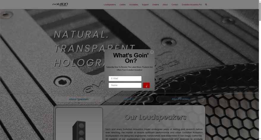 evolutionacoustics.com